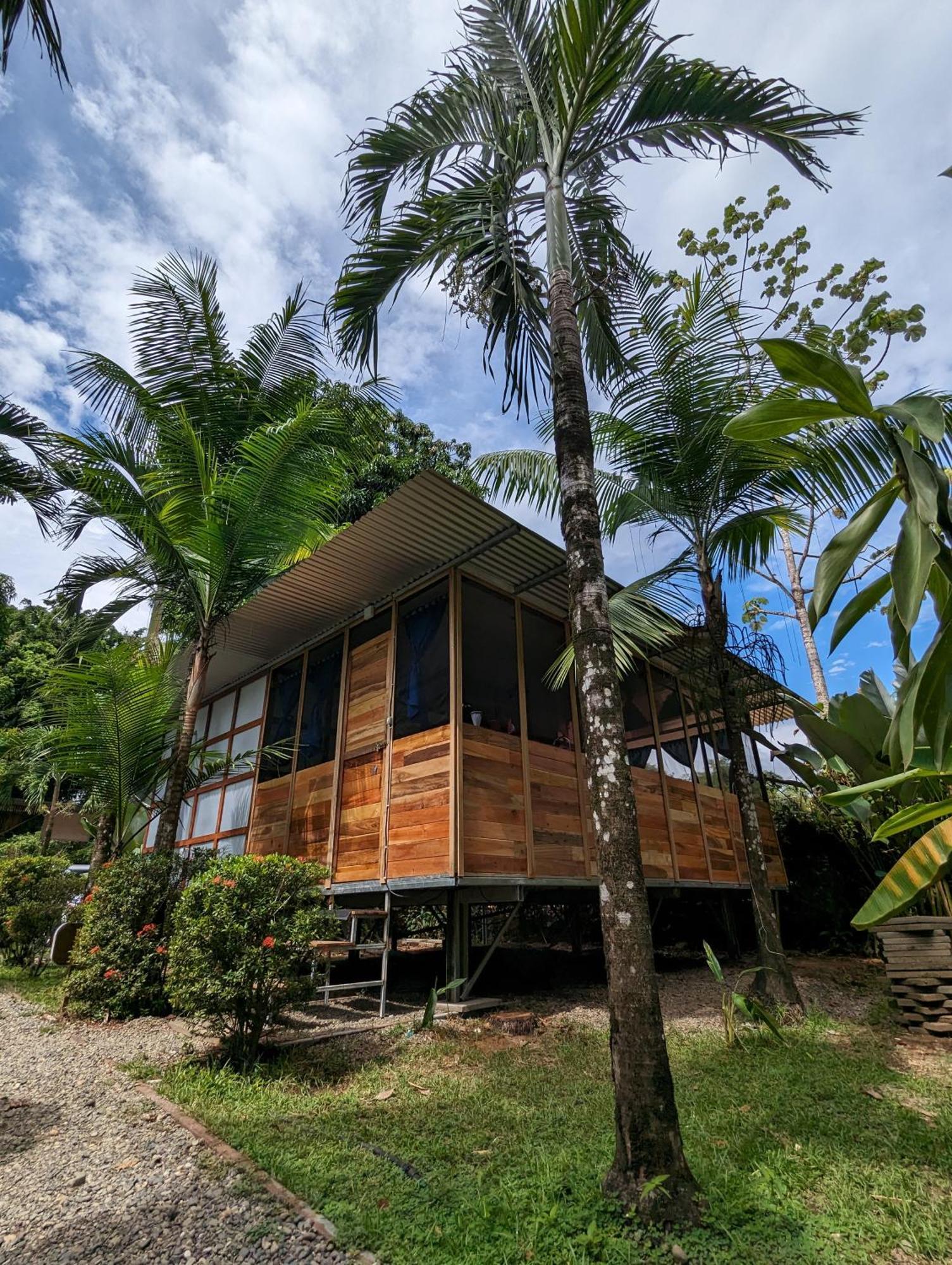 Arboura Eco Cabins Uvita Zewnętrze zdjęcie