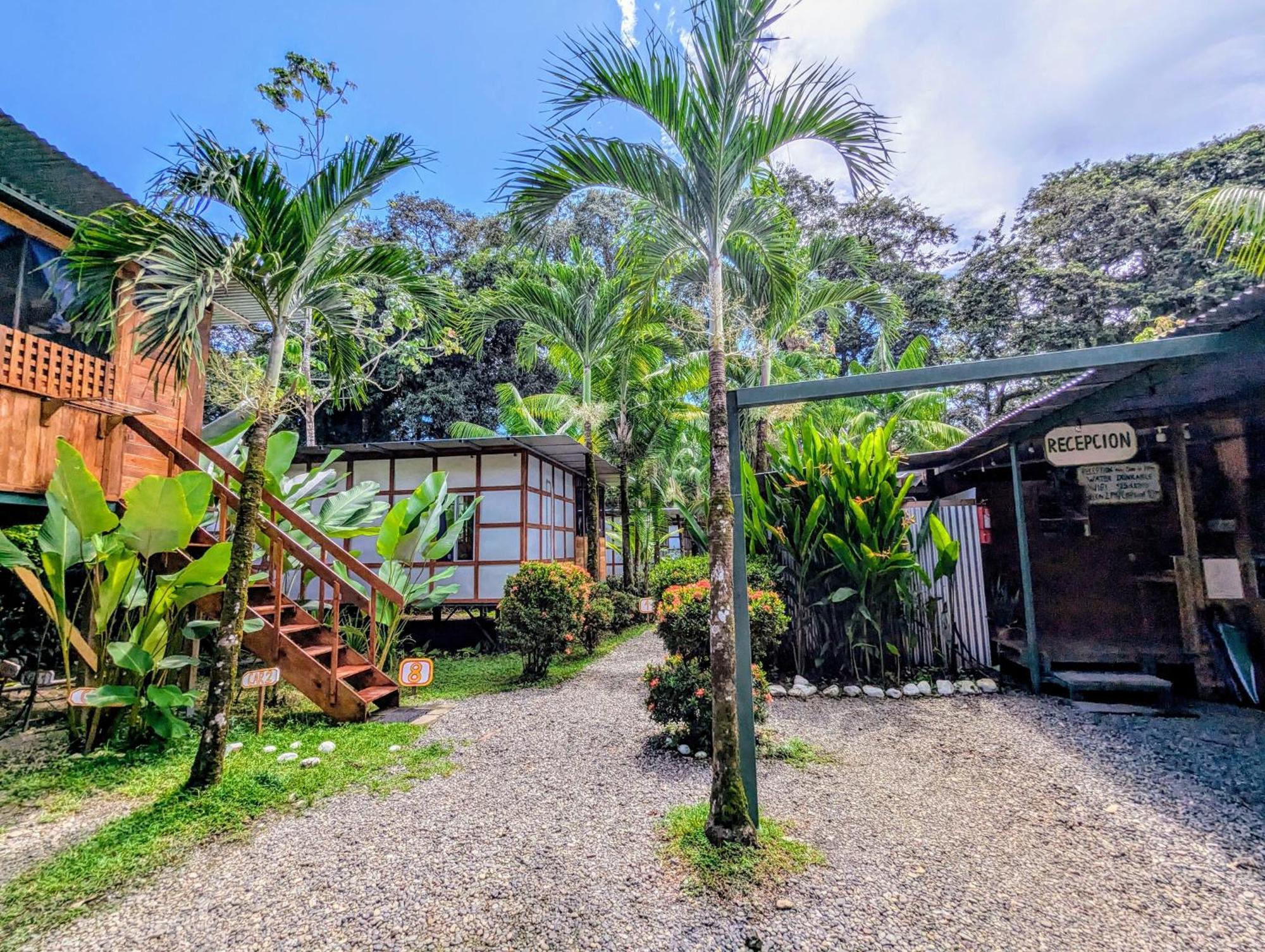 Arboura Eco Cabins Uvita Zewnętrze zdjęcie